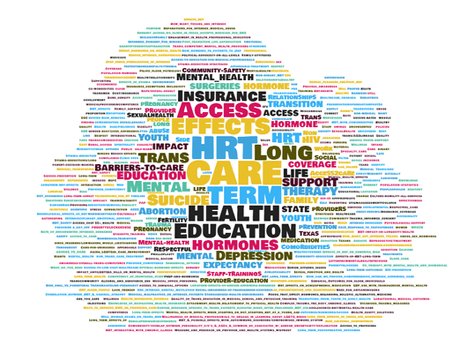 Word cloud with a few large words including: HRT, Access, Insurance, Health Education, Effects, Care, Hormones, Suicide, Therapy, Support, Life, Depression
